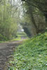 Wandelen
